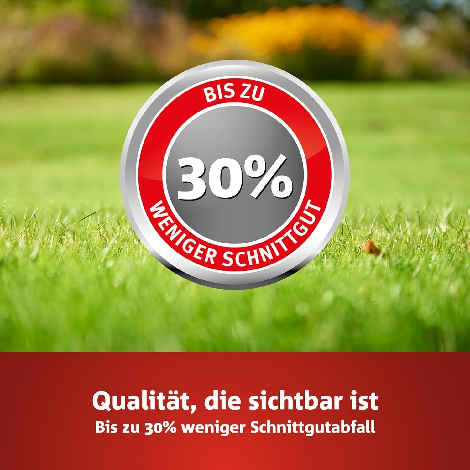 Wolf-Garten Trocken-Rasen PREMIUM L-TP 100 (Für 100 M², Hohe Dichte Mit Ca. 70.000 Trieben/M2, Sehr Gute Hitze- Und Trockenverträglichkeit, Widerstandsfähig Gegen Frost, 3 Kg Faltschachtel) 3824641