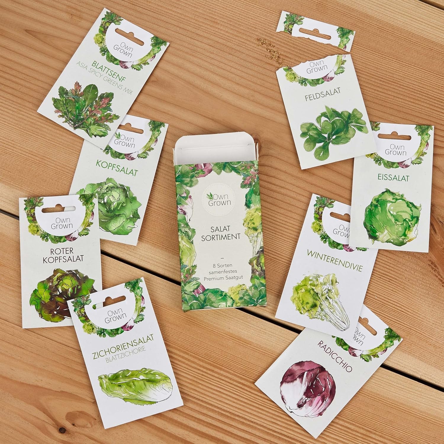 Semințe de salată: Set de 8 soiuri de semințe de salată pentru grădină și balcon – Semințe de salată, frunze de muștar, semințe de salată de miel (Hardy), radicchio, semințe de andive, cicoare – Semințe de legume pentru salată de la OwnGrown