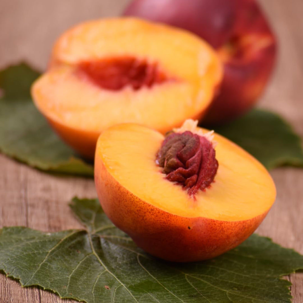 Pfirsiche Mit Gelbem Fleisch Fayette - Obstpflanze Alte Frucht Auf Blumentopf 26 Innestata Su Portainnesto - Baum Max 120 Cm - 4 Jahre Anbau Italien