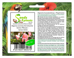 Stk - 10X Begonia Coccinea Ziersträucher Garten Pflanzen - Samen ID331 -