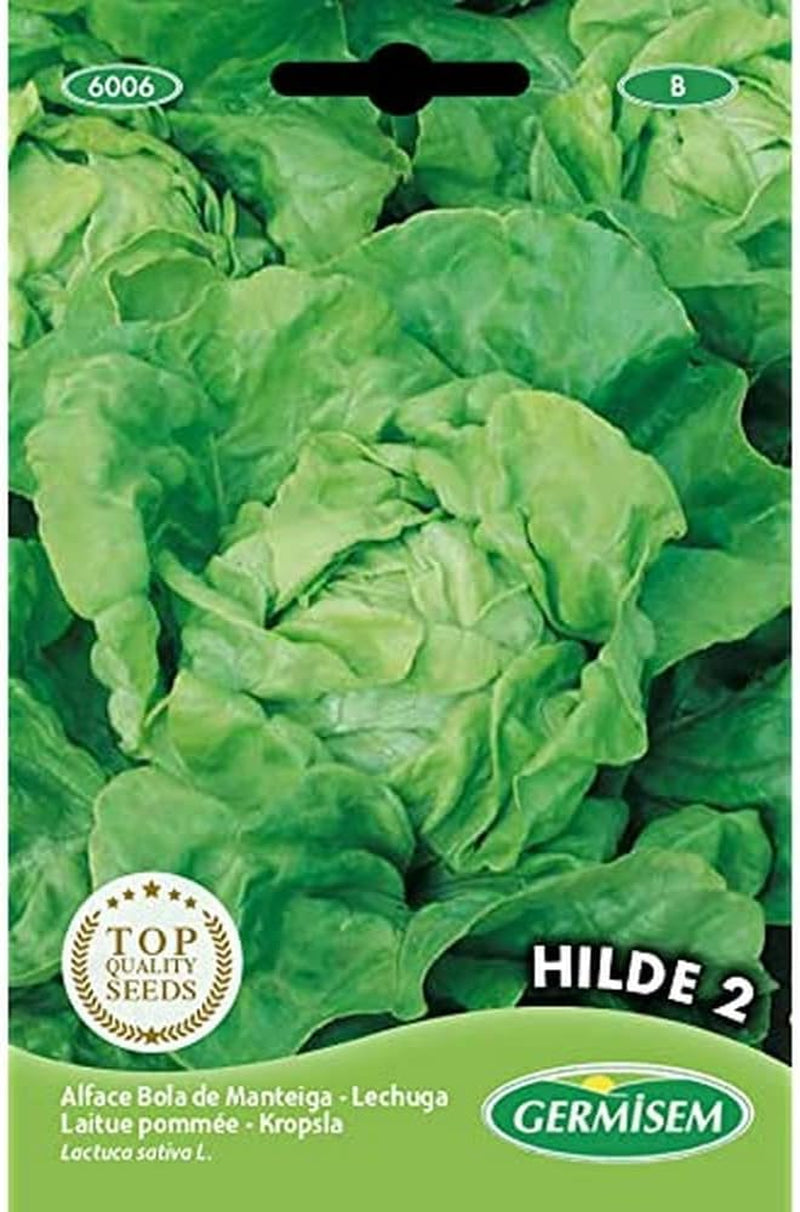 Schnittsalat FRISEE D´AMERIQUE, Mehrfarbig, EC6005