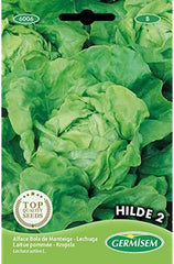 Schnittsalat FRISEE D´AMERIQUE, Mehrfarbig, EC6005
