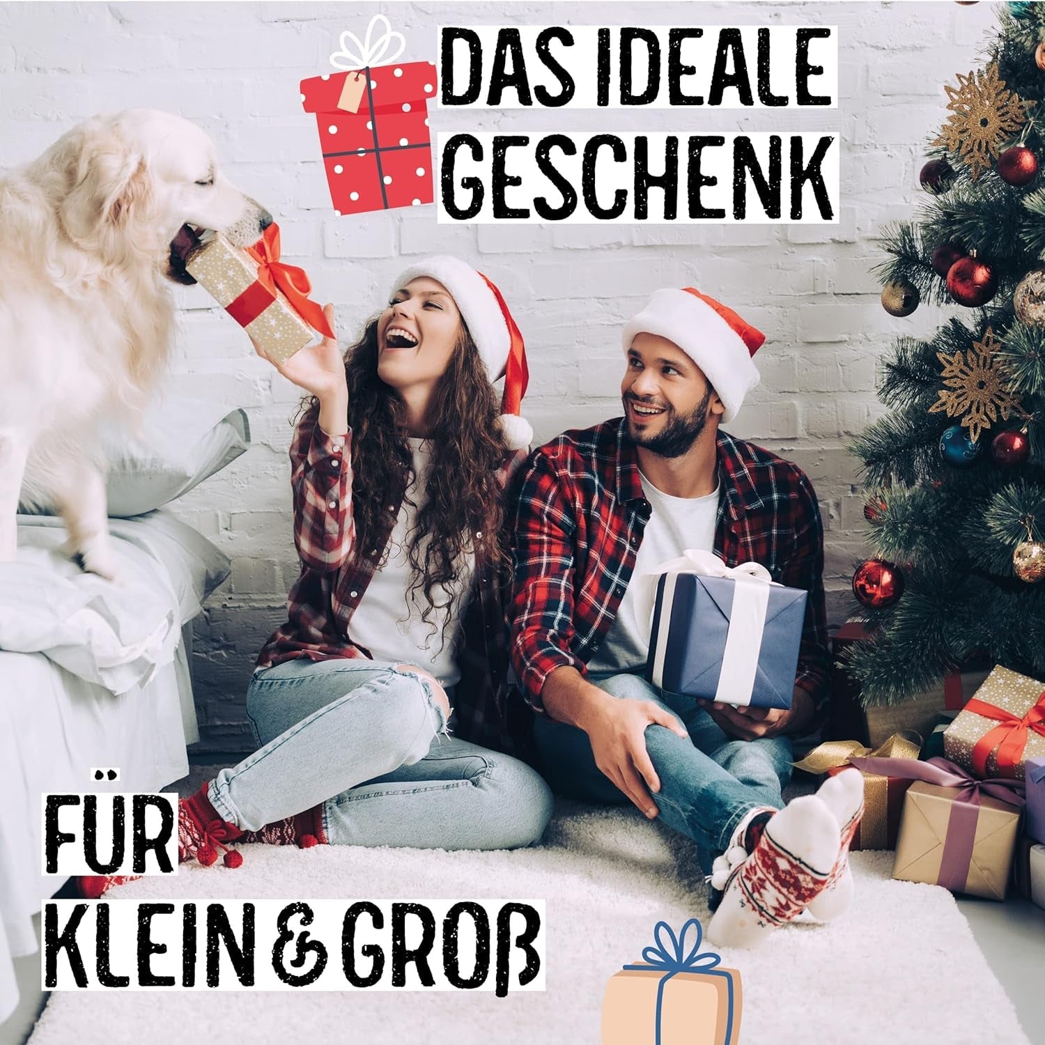 Brad de Crăciun 2030 - Semințe de brad Nordmann pentru plantarea unui brad de Crăciun, ideal ca și cadou de Crăciun Secret Santa