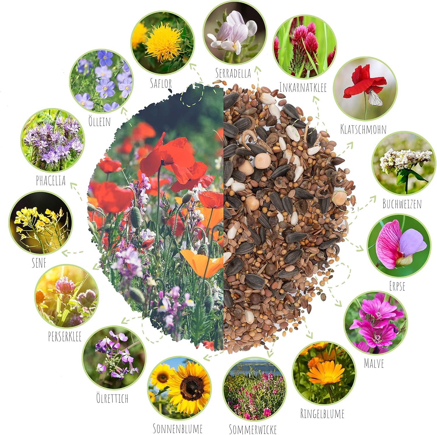 100g Semințe de fluturi pentru o pajiște cu flori colorate - Amestec de semințe de flori sălbatice colorate și bogate în nectar pentru fluturi