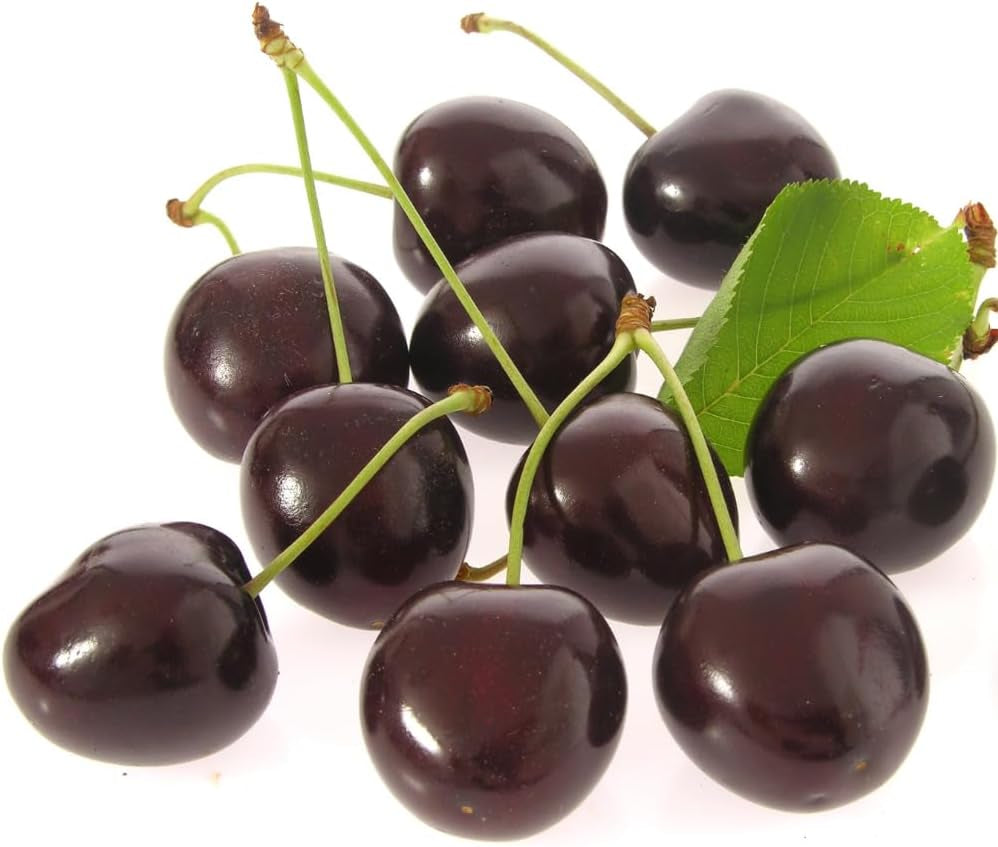 Sauerkirschbaum Amarena Montmorency – Obstpflanze Im Topf Ø 24/26 Cm, Höhe 160-180 Cm, Alter: 4 Jahre – Italienische Baumschule