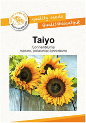 Blumensamen Taiyo Sonnenblume Portion