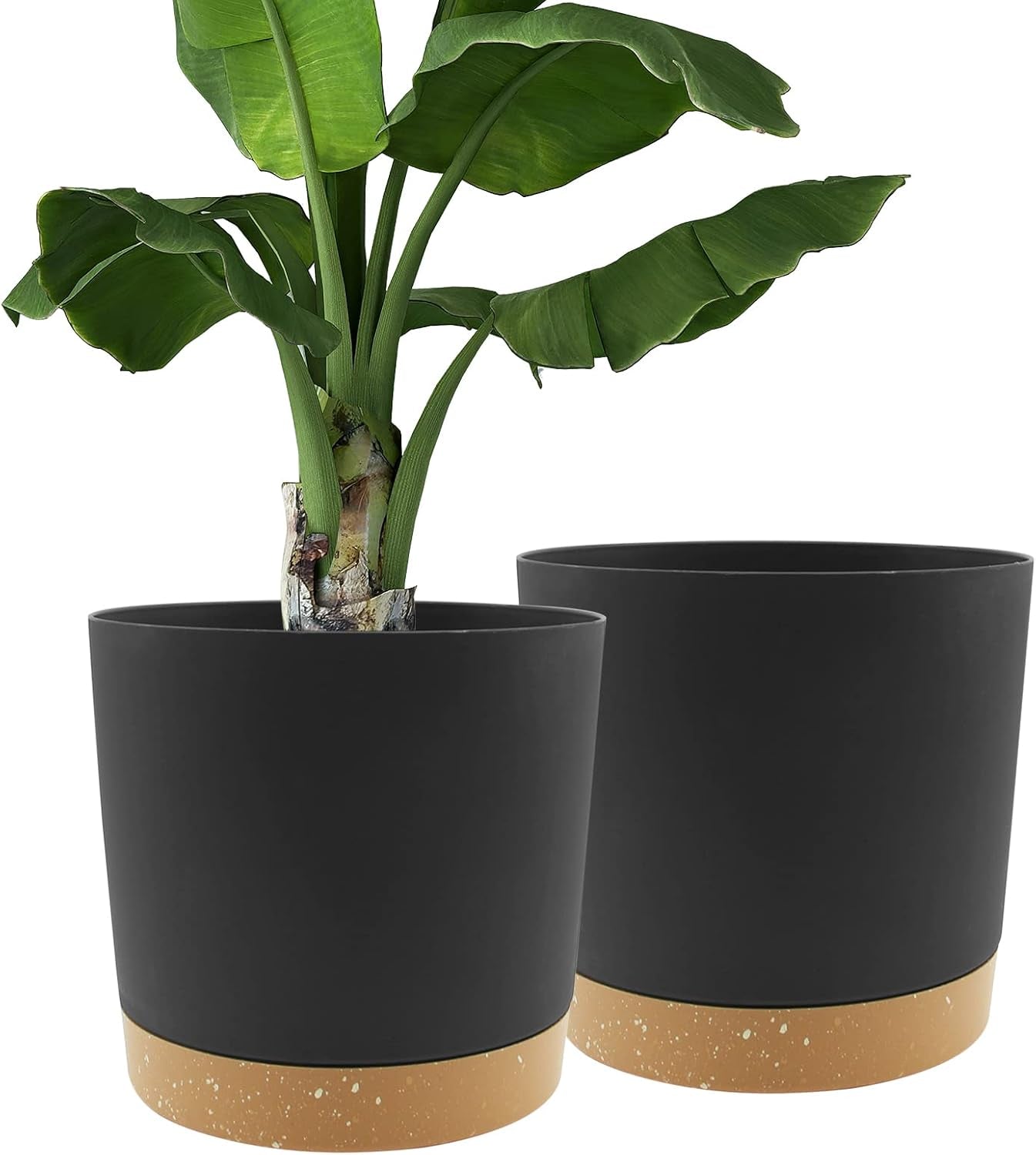 Ghiveci de flori set de 2 12,7 cm, ghivece pentru plante de interior cu găuri de drenaj și bază detașabilă, farfurioare decorative moderne pentru jardiniere de grădină de exterior (alb 12,7 cm)