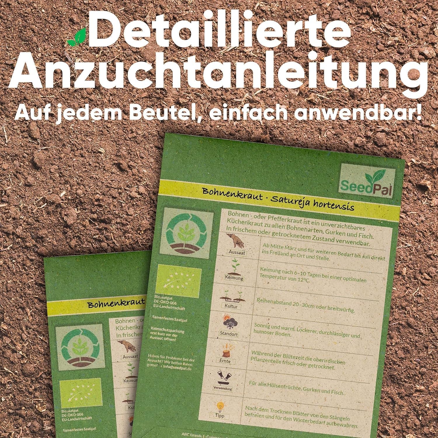 Kräutersamen Set - 12 Beliebtesten Küchenkräuter - Kräuter der Provence, italienische Kräuter - Kräutergarten für Küche oder Balkon - Samen Saatgut - Gartenkräuter Sorten