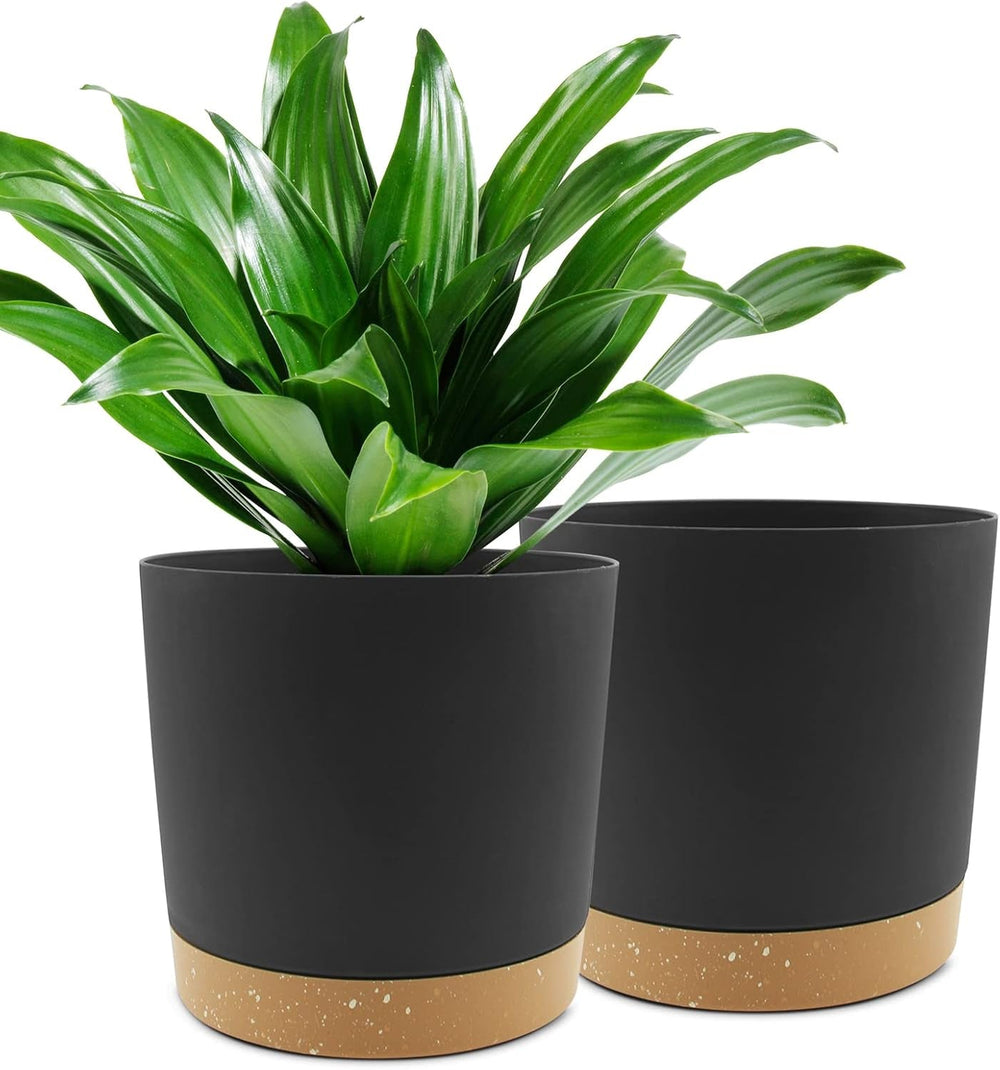 Ghiveci de flori set de 2 12,7 cm, ghivece pentru plante de interior cu găuri de drenaj și bază detașabilă, farfurioare decorative moderne pentru jardiniere de grădină de exterior (alb 12,7 cm)
