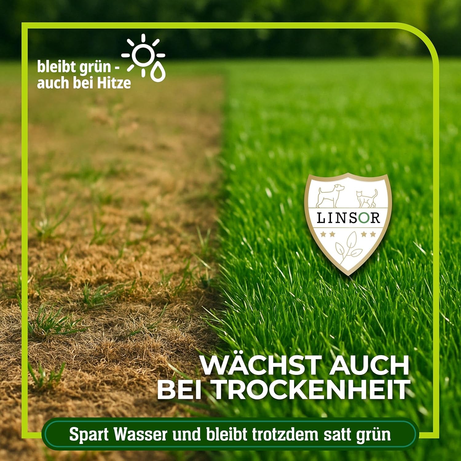 Rasensamen Schnellkeimend – Zauberrasen 4 Kg Für 200 M² Schnell Wachsender Rasen Mit Schneller Begrünung Pflegeleicht Für Dichten Gleichmäßigen Rasen