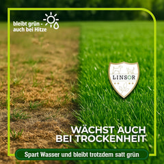 Rasensamen Schnellkeimend – Zauberrasen 4 Kg Für 200 M² Schnell Wachsender Rasen Mit Schneller Begrünung Pflegeleicht Für Dichten Gleichmäßigen Rasen