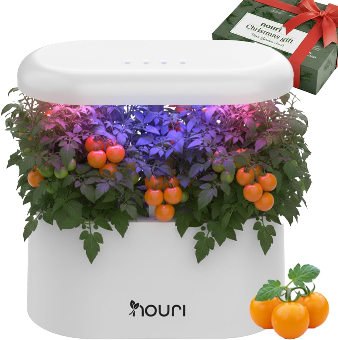 Nouri 7 Pod + Busuioc Heirloom | Grădină inteligentă pentru bucătari de acasă | Sistem de creștere hidroponică | Lumini LED de creștere | Kit de grădinărit cu plante aromatice de interior pentru iubitorii de plante și grădinari, Alb