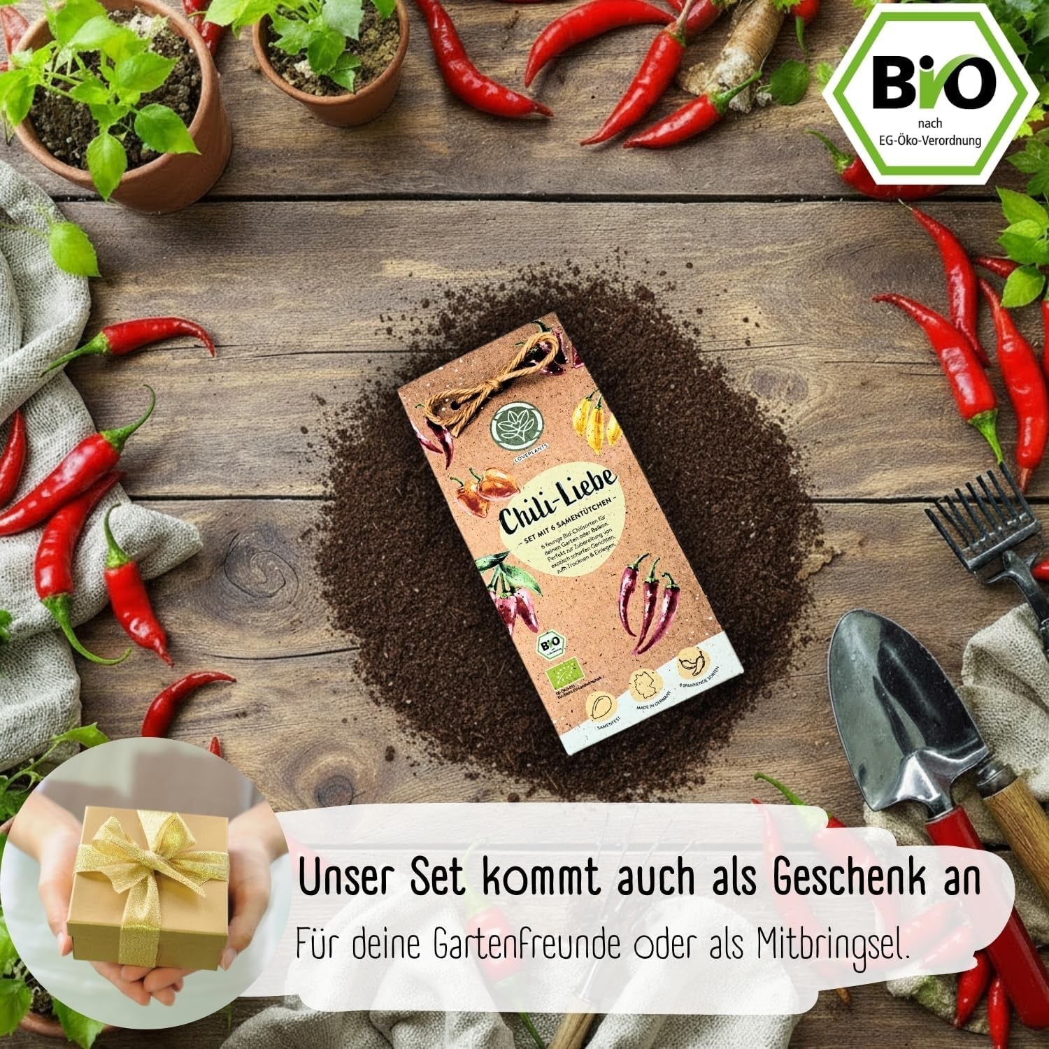 Set de semințe de chili organice – 6 semințe de chili organice, cu o intensitate ușoară până la extrem de iute, de calitate polenizată liber | de la picantul Habanero la soiuri de chili colorate și tradiționale – Semințe de Pepperoni