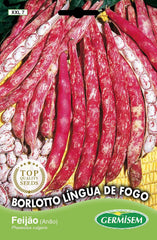 Buschbohnen LINGUA DE FOGO, Mehrfarbig, XXL 7