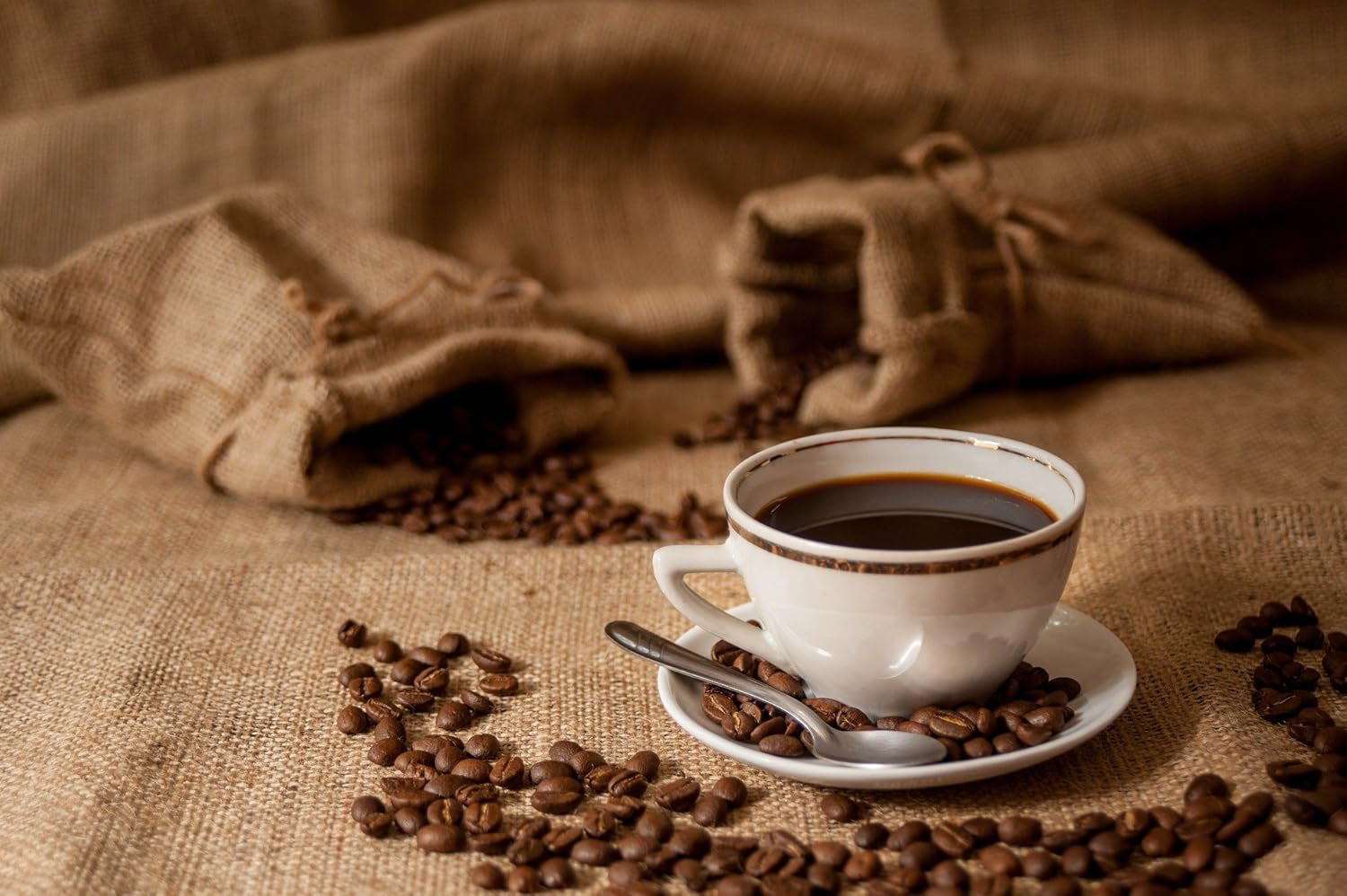Specialitate de cafea din America Centrală: Cafeaua Honduras - O specialitate caraibiană (măcinată) - Cafea de origine unică - Cafea premium - Aciditate scăzută - Prăjită ușor și proaspăt