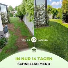 Terrauno - Rasensamen Schnellkeimend I Nachsaat Rasen I Extrem Hohe Keimrate I 1 Kg Für 50 M² I Rasensamen Trockenresistent Zur Schnellen Lückenschließung I Rasennachsaat RSM Qualität