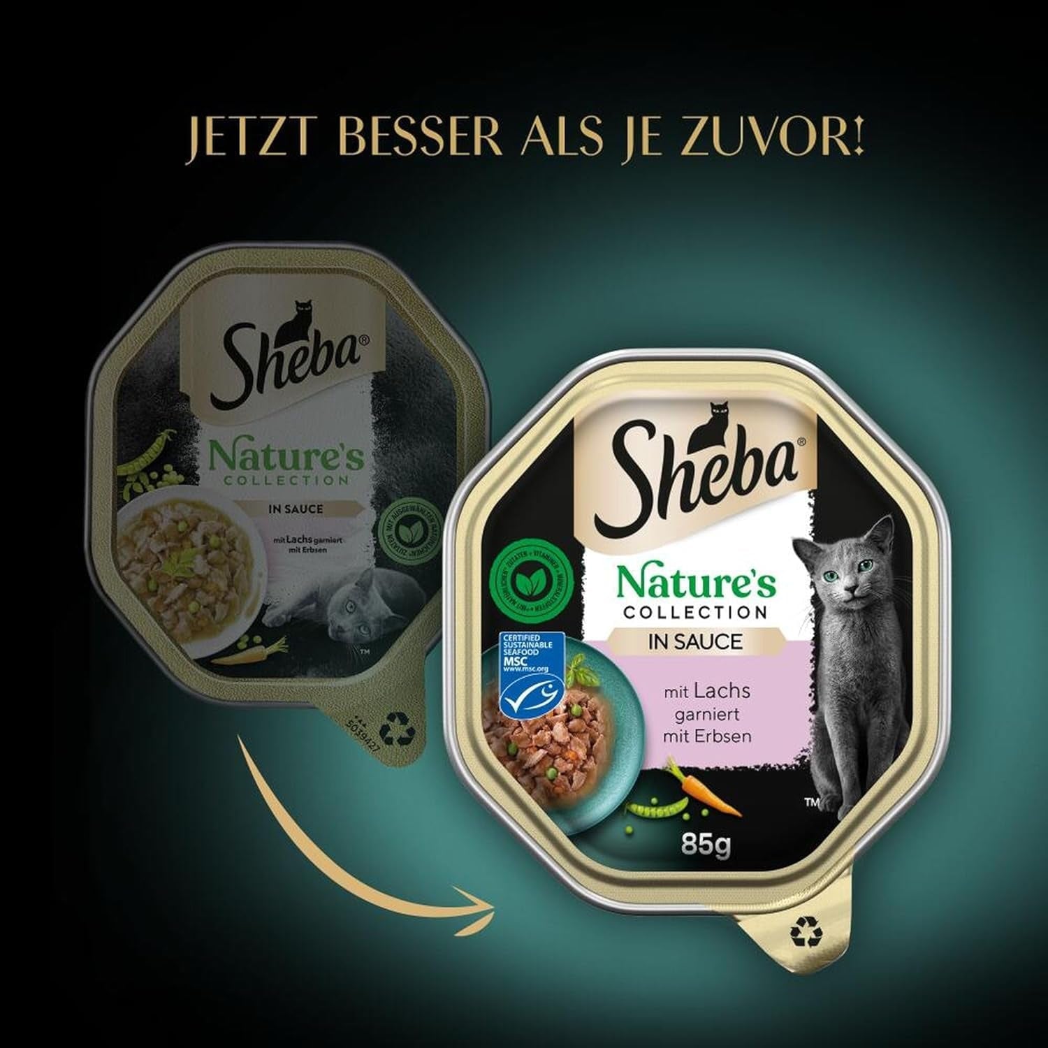 Hrană umedă pentru pisici SHEBA, Colecția Nature's în sos cu somon, 2 x 11 x 85g