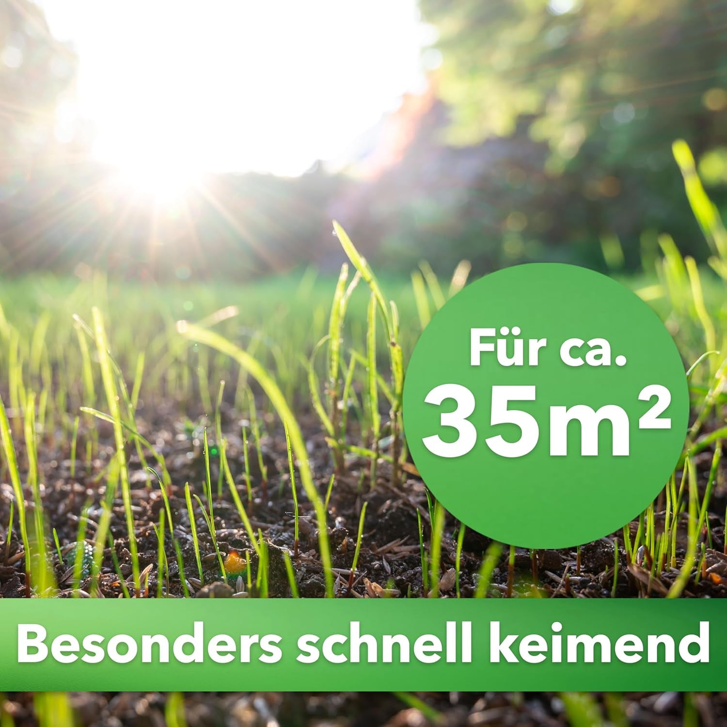 Hesa Nachsaatrasen, 1 Kg Für 35 M², RSM 3.2, Schnellkeimende Premium Rasennachsaat Von Frühling Bis Herbst, Rasenreparatur in Profiqualität