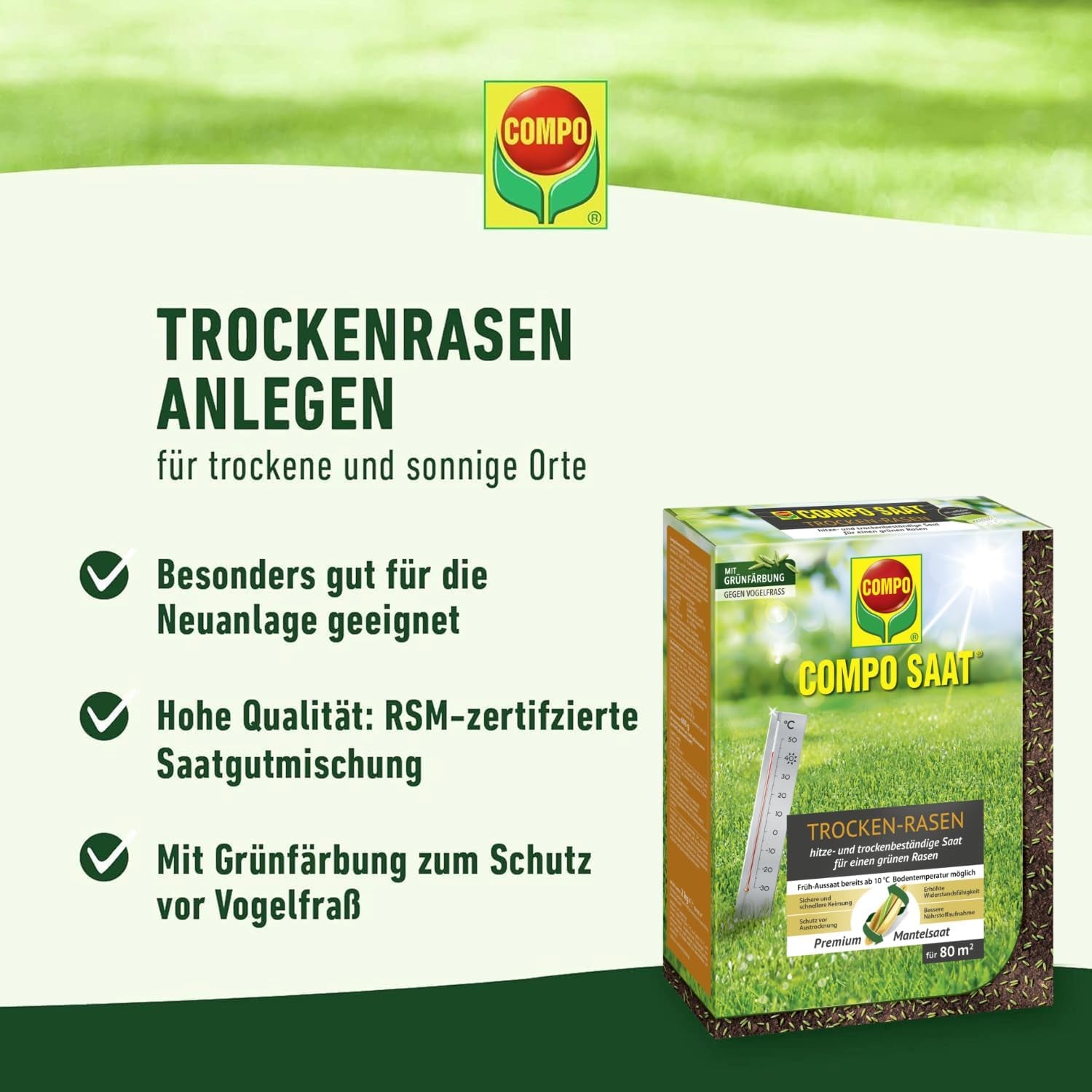 COMPO SAAT Trocken-Rasen, Hitze- Und Trockenverträgliche Rasensamen/Grassamen Für Trockene Und Sonnige Standorte, 2 Kg, 80 M²