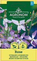 AGRONOM | Trandafir cu două coarne | Semințe de flori | Semințe de trandafir | Plantă anuală, ușor de cultivat | 1 pachet