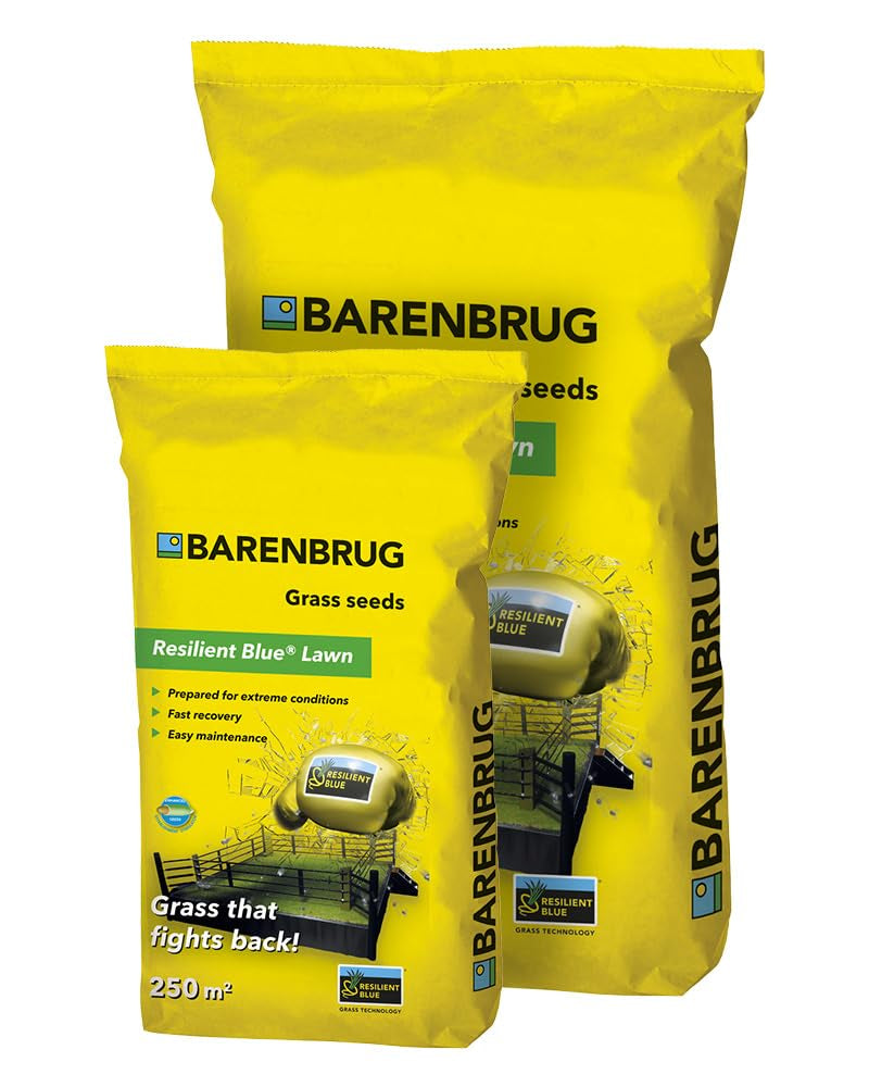 Rasensamen Barenbrug Resilient Blue Lawn 20 Kg - Great in Grass - Toleranzgrassamen