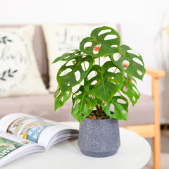 Künstliche Grünpflanze Im Topf, Künstliche Sukkulenten, Großes Grünes Blatt, Für Zuhause, Schreibtisch, Wohnzimmer, Dekoration