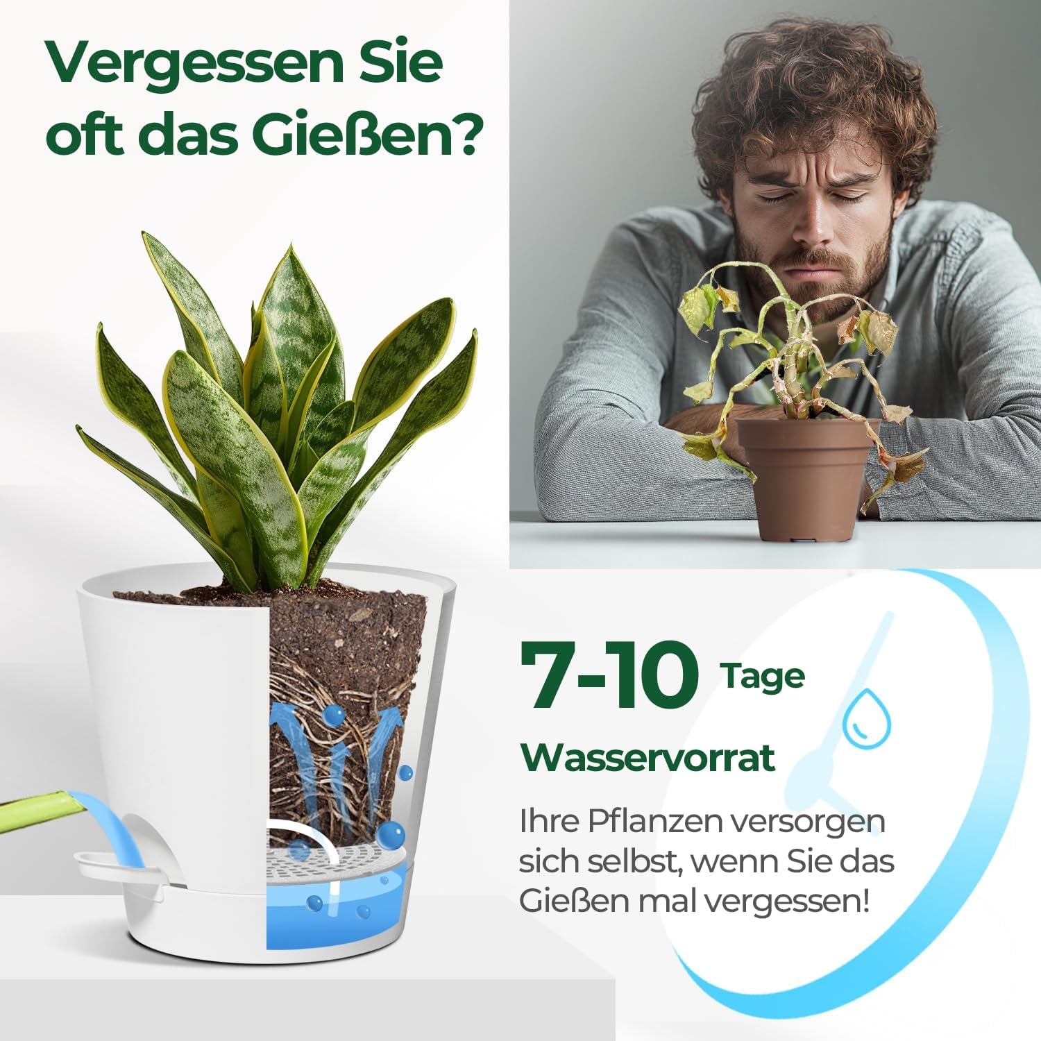 Ghiveci de flori din plastic T4U de 14 cm cu sistem de udare, set de 6 ghivece cu auto-udare și farfurioare, ghivece rotunde pentru plante de grădină de interior și balcon, suculente, cactuși, alb