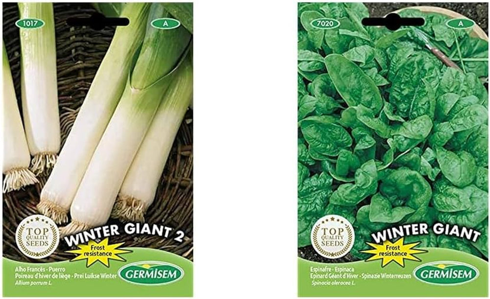 Lauch WINTER GIANT, Mehrfarbig, EC1017 & Spinat WINTER GIANT, Mehrfarbig, EC7020