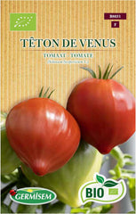 Tomate Têton De Venus