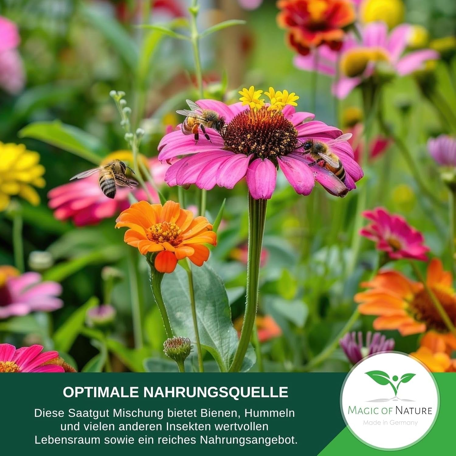 Magic of Nature 800Gr. Blumensamen Mischung - Bienen Paradies - Blühfreudige Bienenweide Für 150 Bis 250 M²