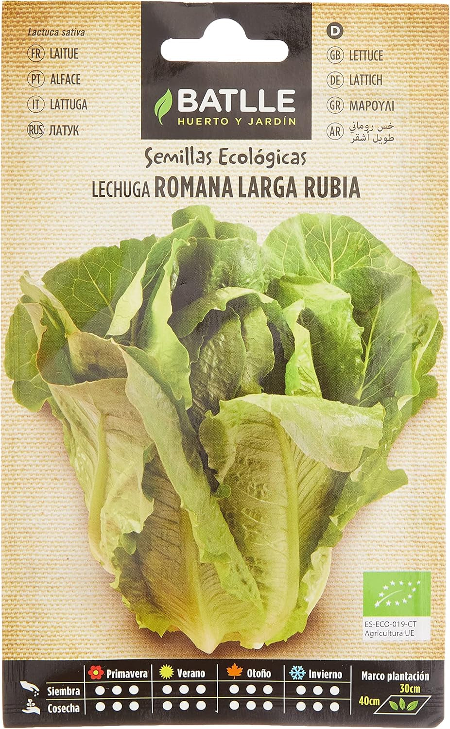 Bio Samen - Römersalat Lang Hell (400 Samen - Bio)
