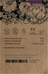 Hokkaido-Kürbis 'Red Kuri' (Cucurbita Maxima) Bio - Ca. 5 Samen