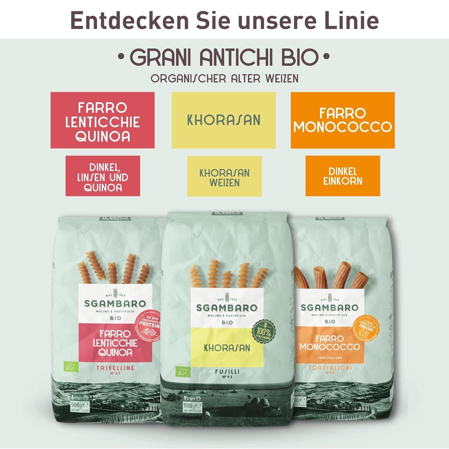 Paste Penne Rigate Organice N.91 - 500g Paste din grâu alac – Conținut scăzut de grăsimi – Sursă de fibre și proteine