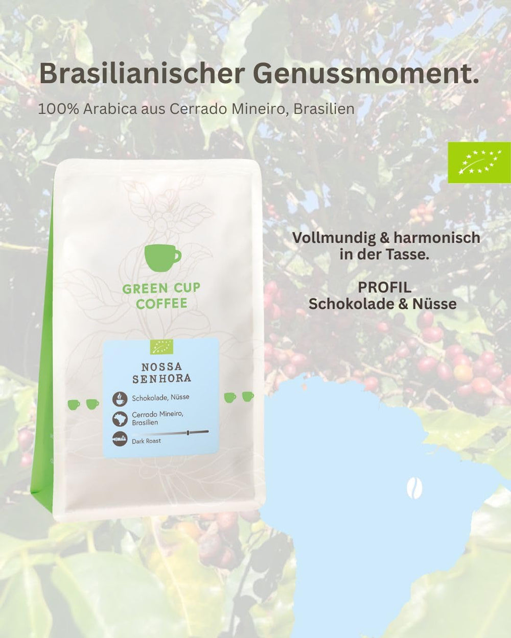 Coffee - Nossa Senhora I 100% Arabica I Kaffeebohnen 250g I Ideal für Moka kanne, Siebträger, Vollautomat, Brühkaffee und French Press mit schokoladig, nussigen Aromen I dunkle Röstung
