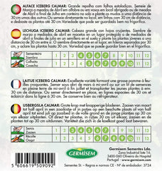 Kopfsalat Iceberg CALMAR