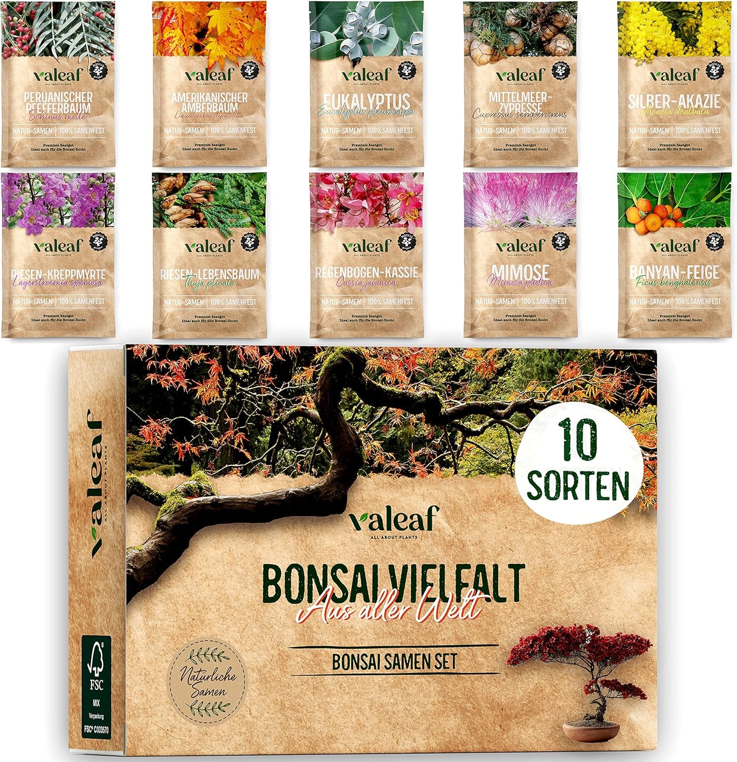 10 Semințe de Bonsai de pe 5 Continente | Semințe de Arbori Exotici pentru Bonsaiul Tău Unic | Kit de Începători și Pasionați de Plante | Setul Nostru de Bonsai ca Idee de Cadou Specială