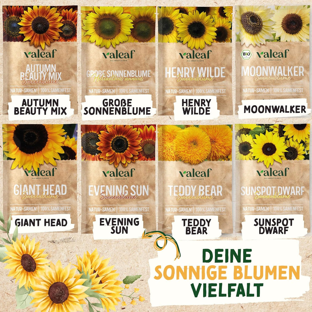 Set de semințe de floarea-soarelui - 8 varietăți de semințe de floarea-soarelui - Semințe de floarea-soarelui într-un set practic de plantare - Semințe de flori de vară, amestec de flori sălbatice - Semințe de flori pentru plantare