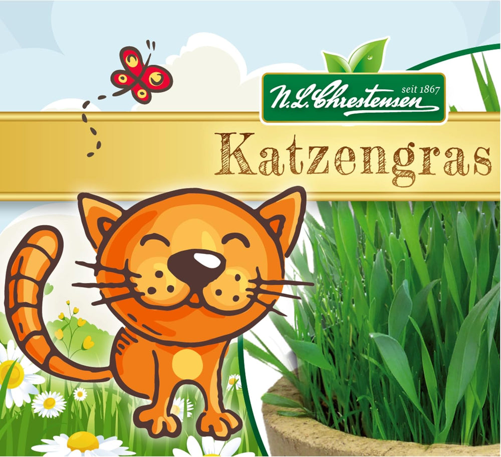 Premium Katzengras Samen Chrestensen Gartenkinder, Grassamen Schnellkeimend Mit Anleitung Für Kinder, 1 Dose Für Ca. 2-2,5 M² Katzengras Fertig Gewachsen, Natürliche Katzen Leckerlies Zu Hause