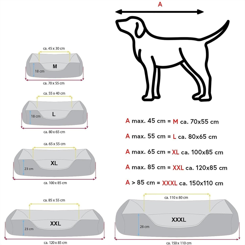 Paturi, animale de companie, câini, locuri de dormit și mobilier