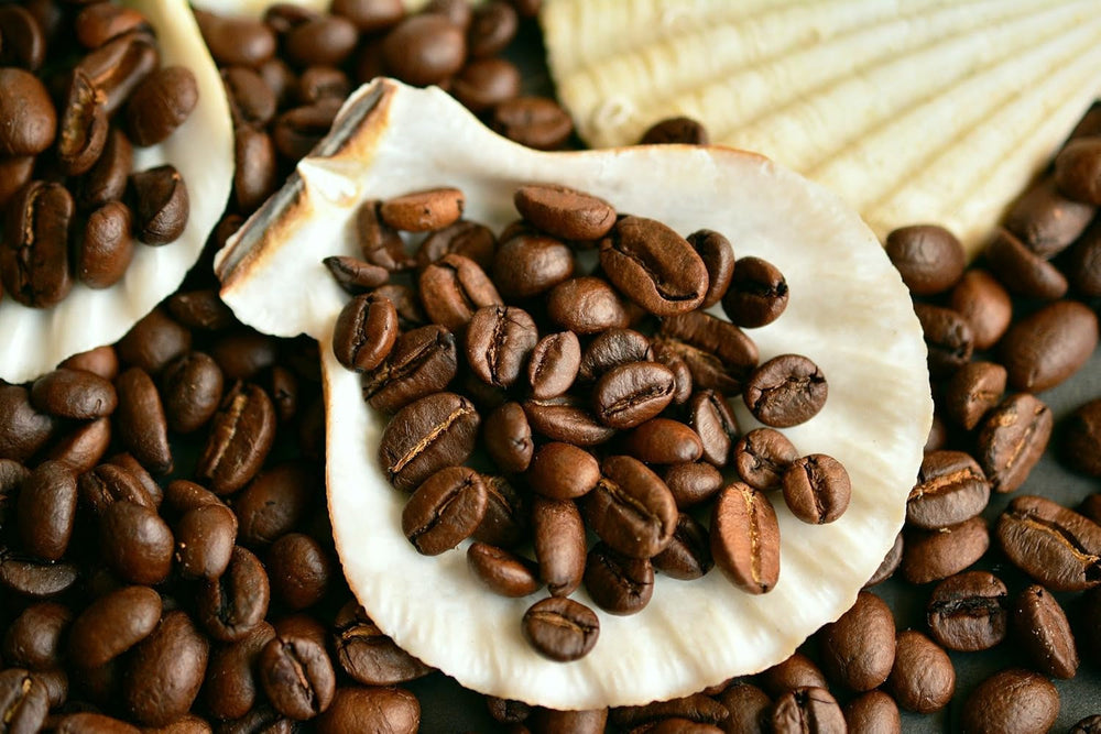 Kaffeespezialität Aus Mittelamerika - Guatemala, Dem Land Der Maya (Ganze Bohne,1000 Gramm) - Länderkaffee - Spitzenkaffee - Säurearm - Schonend Und Frisch Geröstet