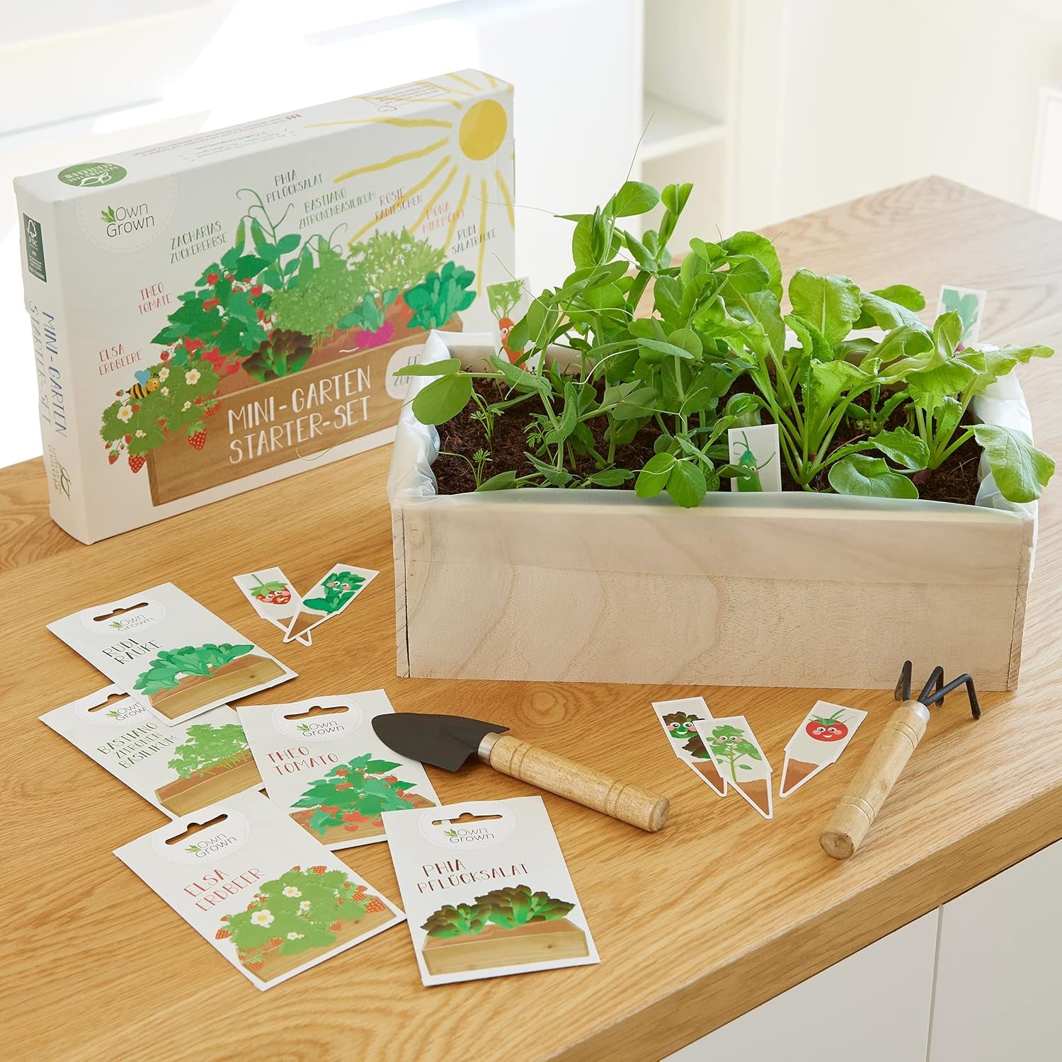 Kit de cultivare a semințelor cu cutie de lemn și 8 varietăți de semințe de plante: Kit de cultivare pentru copii cu semințe de legume, căpșuni și plante aromatice – Kit de început pentru mini seră și mini grădină de la OwnGrown