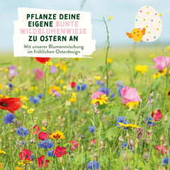 Blumensamen Wildblumenwiese I Blumen Saatgut Als Ostergeschenk, Ostergras Samen I Blumen Samen Oster Geschenk U. Oster Geschenk Kinder I Wildblumen Samen I Blumensamen Tütchen Für Blumenwiese