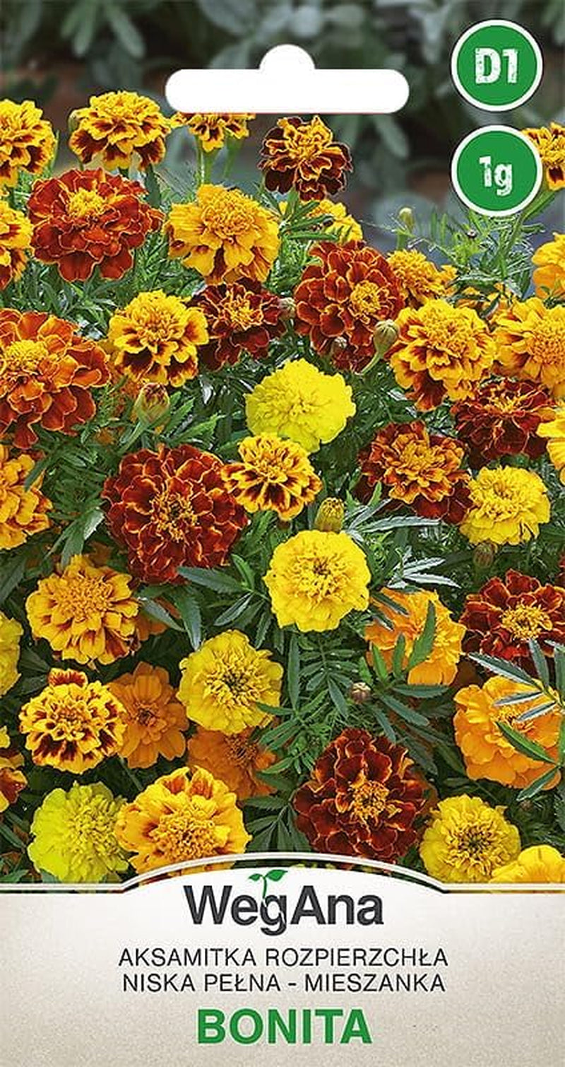 Semințe Cosmos Sensation Mix 1g, Mix Cosmos Flori de vară, Plante de grădină Plante de balcon, Semințe de flori