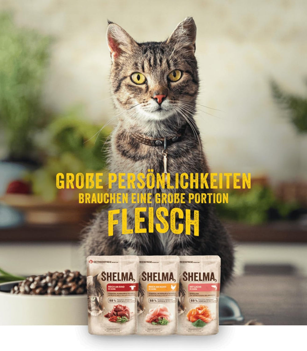 Hrană umedă pentru pisici Shelma cu curcan în sos cu roșii și ierburi – Hrană completă fără cereale cu conținut ridicat de carne – 28 x 85 g (2,38 kg)