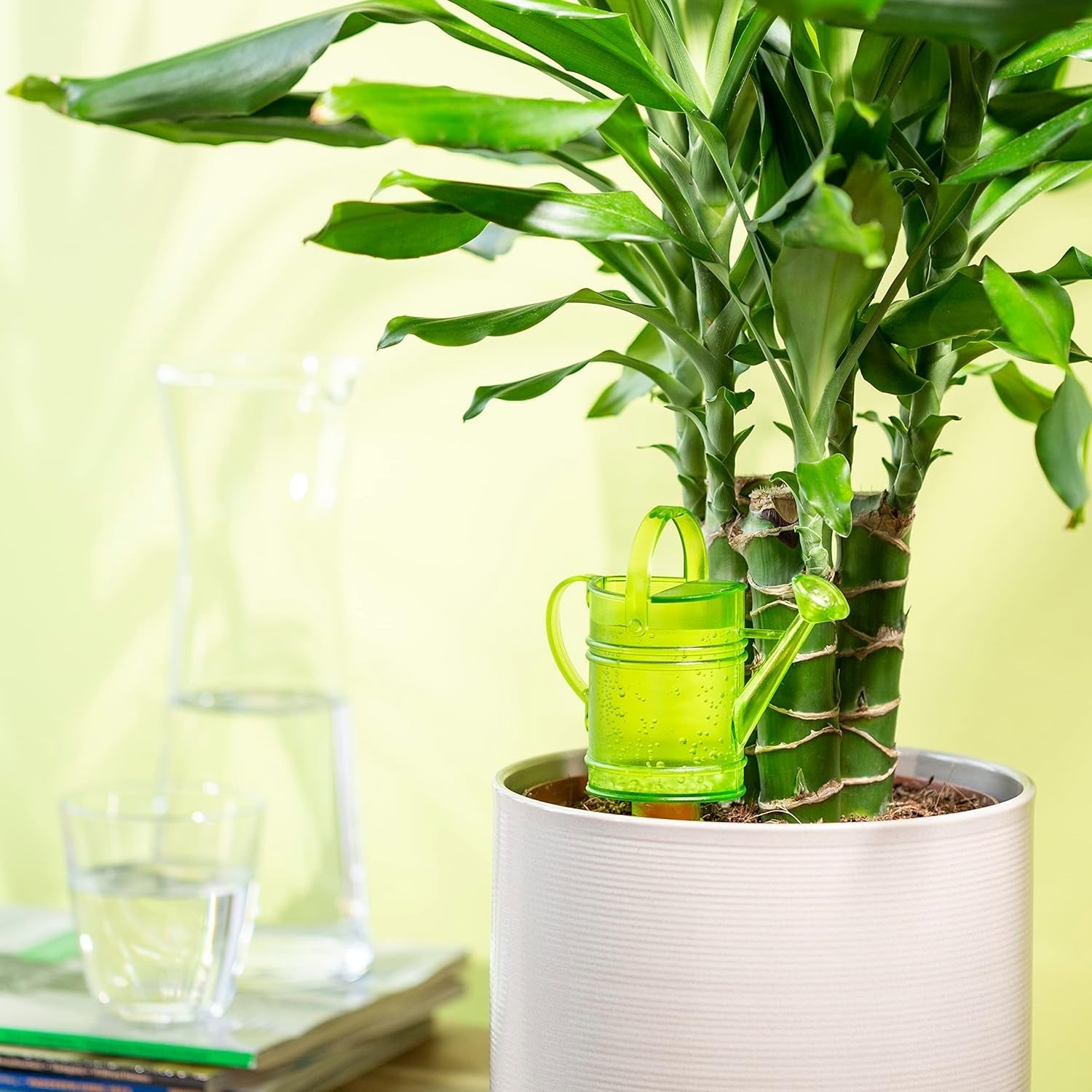 Scheurich Nelly M, rezervor de apă din plastic, culoare: Nelly M, verde, 13 cm lățime, 7 cm adâncime, 22 cm înălțime, volum 0,2 l.
