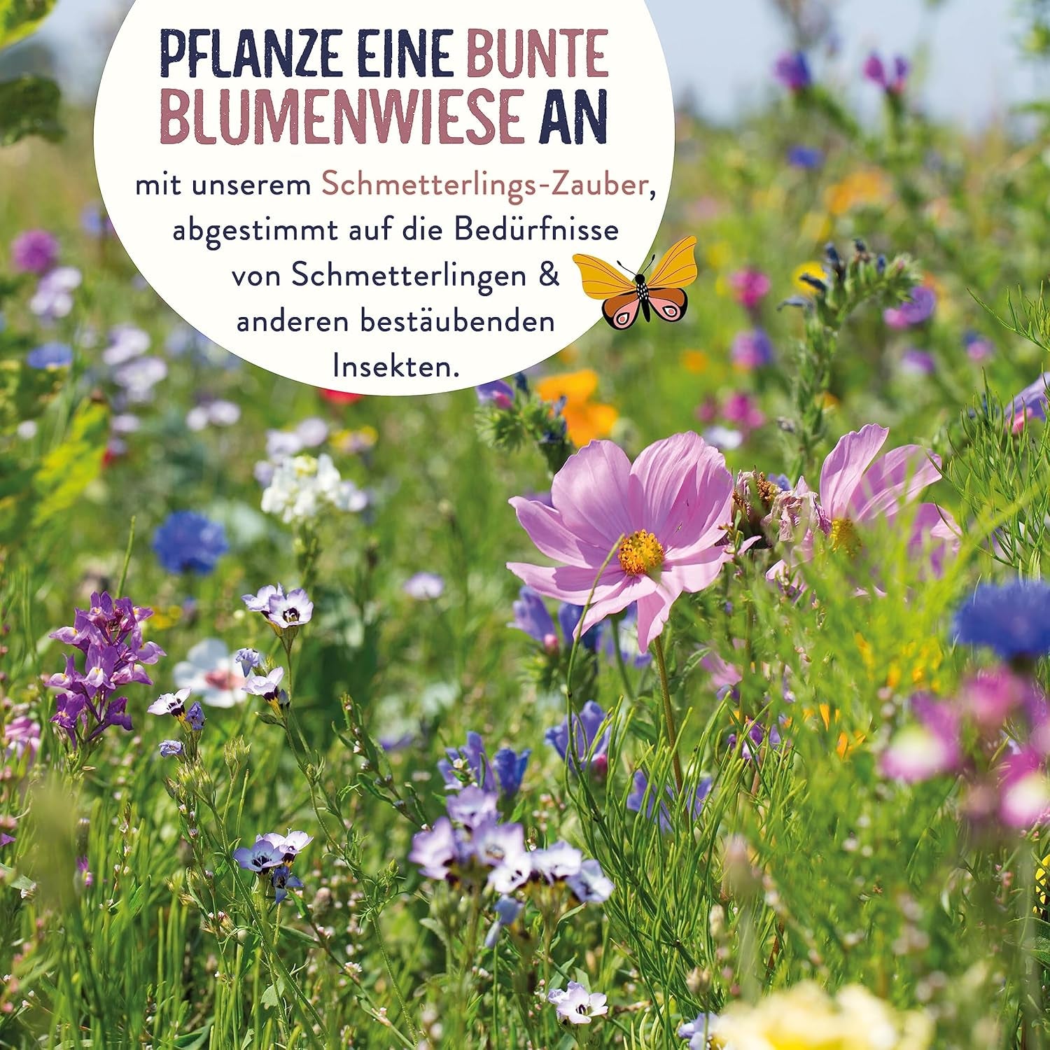 Schmetterlingswiese I 200 G I Blumenmischung Für 200 M² I Blumenwiese Samen Mehrährig Und Einjährig I Wildblumensamen Für Schmetterlinge Und Bienen I Wiesenblumen Samen