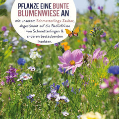 Schmetterlingswiese I 200 G I Blumenmischung Für 200 M² I Blumenwiese Samen Mehrährig Und Einjährig I Wildblumensamen Für Schmetterlinge Und Bienen I Wiesenblumen Samen