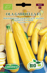 Zucchini OLA GABRIELLA, ECBIO4016