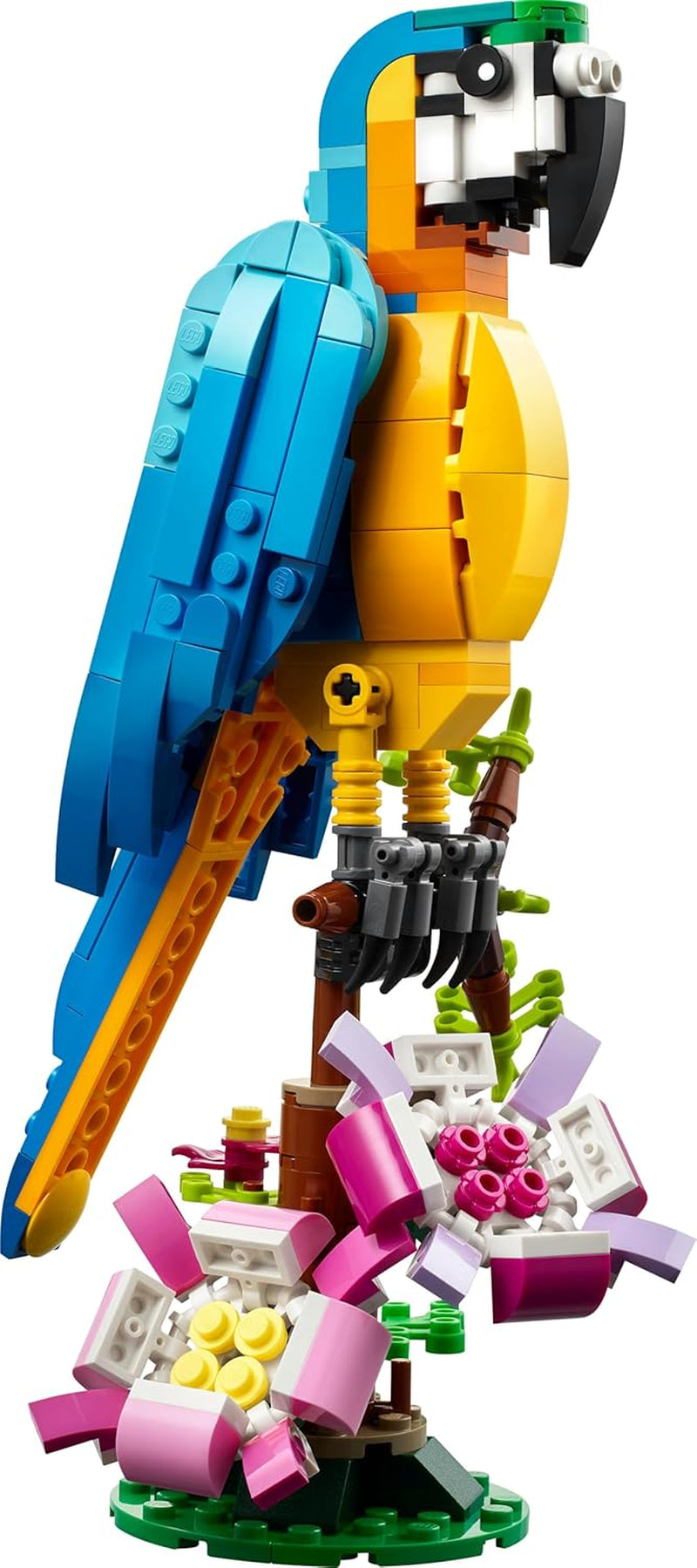 LEGO Creator 3in1 Exotischer Papagei - Konstruktionsspielzeug mit DREI Tierfiguren - Spielzeug mit Papagei, Fisch und Frosch Minifiguren - Kreatives Geschenk für Mädchen und Jungen ab 7 Jahren 31136