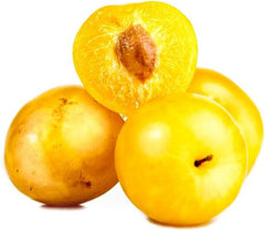 Pflaumenbaum TC Sun - Obstpflanze Topf Ø 24/26 Cm - Max. Wuchshöhe 180 Cm – Alter: 4 Jahre - Italienische Baumschule